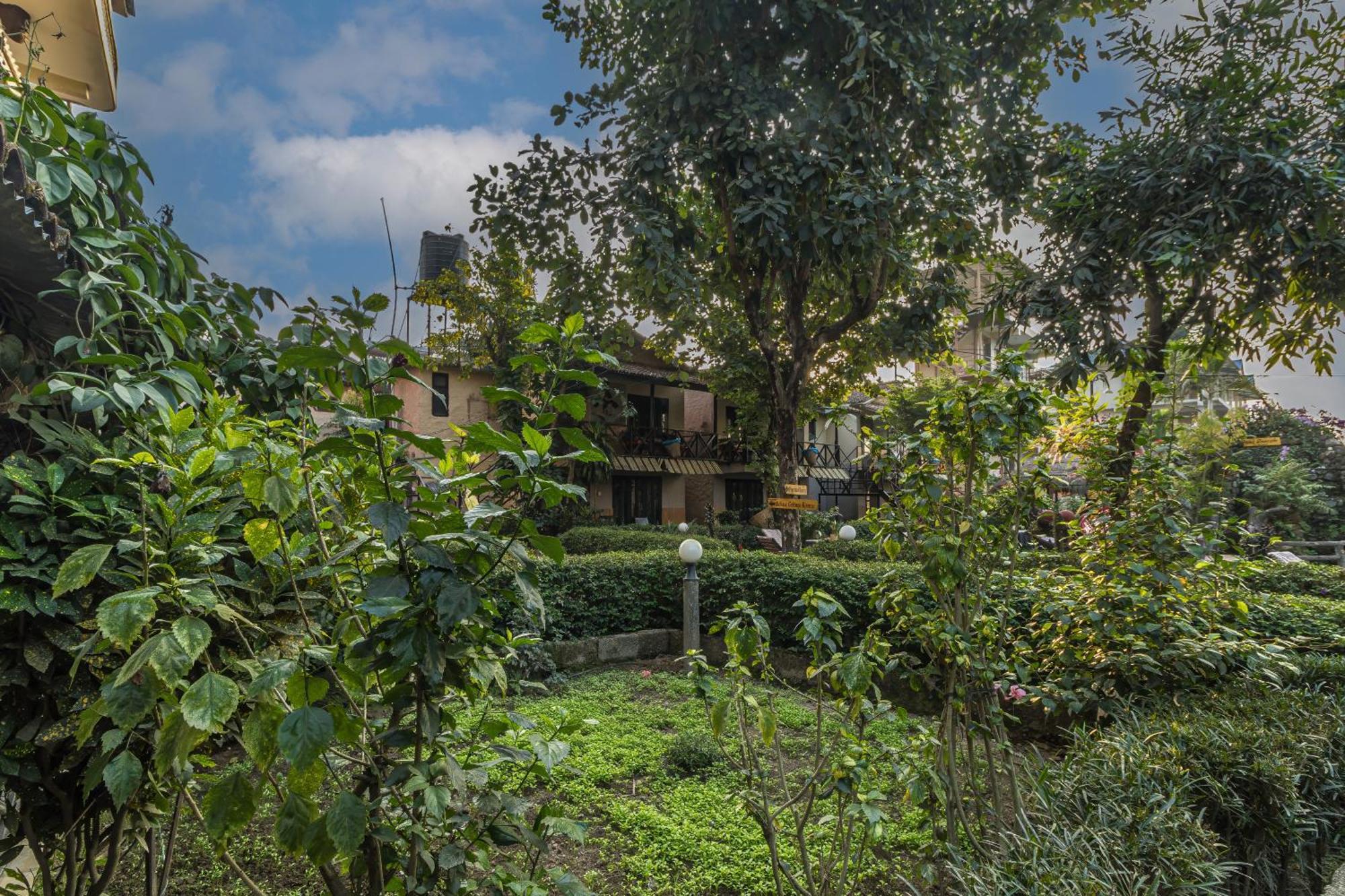 Hotel Riverside Sauraha Eksteriør billede